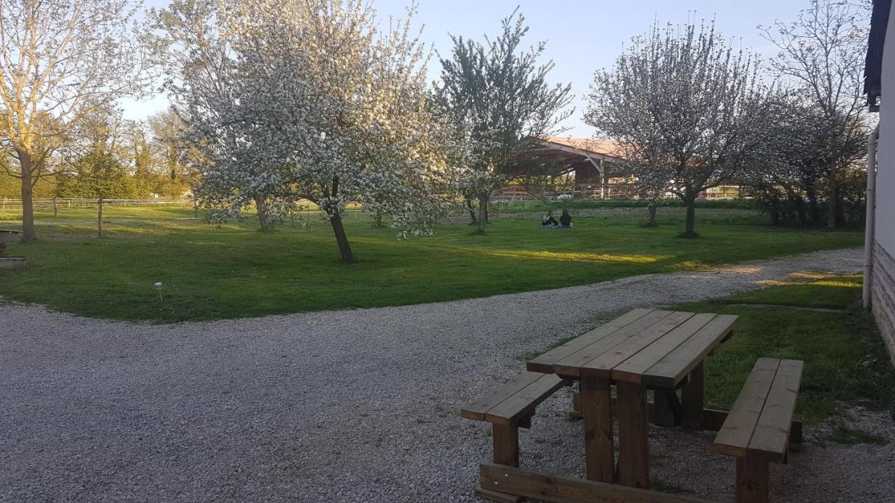 مبيت وإفطار Saint-Trivier-sur-Moignans Ferme Passion المظهر الخارجي الصورة